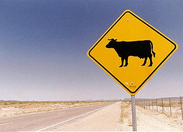 育碧前员工成立新工作室 开发3A单人RPG摆脱公式化模式